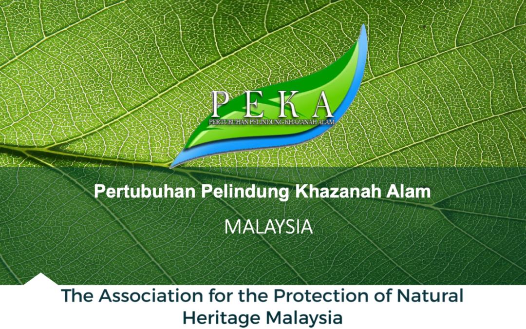Presentation On Urgent Issues To Protect Our Natural Heritage