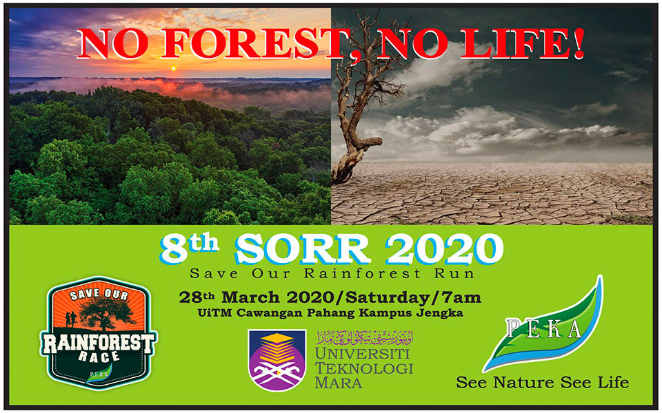SORR Save Our Rainforest Race 2020